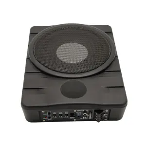Fashion Design Super Dunne Super Bass 10 Inch Rms Power 80W Subwoofer High Power Auto Zadel Subwoofer