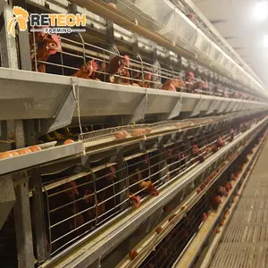 Terbaik Penjualan Unggas Shed Mesin Tipe H 3 Tingkatan 4 Tingkatan Telur Ayam Ayam Petelur Lapisan Kandang