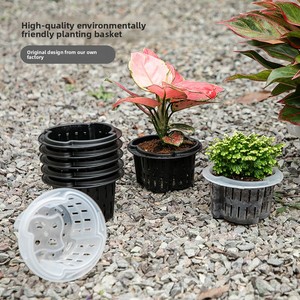 <span class=keywords><strong>Maceta</strong></span> Profesional C310 para Suministros de Jardinería, Multiusos, para Viveros, Suculentas, Trasplante, de Plástico - Product Image 6