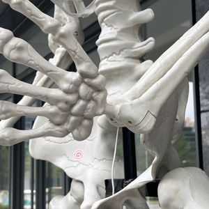 Décorations d'Halloween folles <span class=keywords><strong>de</strong></span> 10 pieds, certaines tailles mobiles, squelette d'Halloween en plastique grandeur nature, taille grande, à vendre - Product Image 6