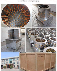 Macchina automatica commerciale per la depilazione del pollo/parti della spiumatrice del pollo/macchina per la rimozione del pollo in vendita - Product Image 5