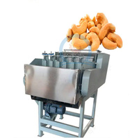 Équipement automatique de décorticage de noix de cajou, machine commerciale de traitement des drupes brutes