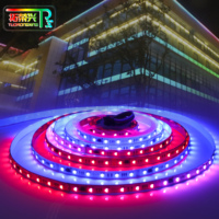 Guangdong tira de luz direccionable inteligente DMX512 5050RGBW 60LEDS persiguiendo tira de luz DC24V LED tira de luz programable flexible