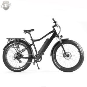 <span class=keywords><strong>ELYX</strong></span> ES019 2020 new 500W/750W 26 inch 80KM wholesale electric mountain bike electric bicycle wholesale bicycle tire - Product Image 2