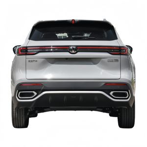 अच्छी तरह से <span class=keywords><strong>2025</strong></span> परिवार के अनुकूल लंबी दूरी की वाहन चेंगन cs55 प्लस कार बेचें - Product Image 6