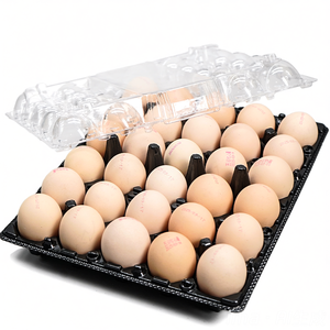 Vassoio Blister in Plastica Nera con Coperchio Separato, Materiale CPET Ecologico per Uova, Bestseller - Product Image 3