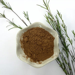 オリーブの葉エキスHydroxytyrosol Oleuropeinパウダー - Product Image 1