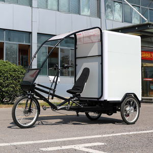 90km độ bền phong cách mới 1000Watt động cơ công suất cao điện hàng hóa giao hàng Trike ba bánh - Product Image 1