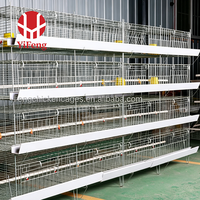 Cage à poulets de chair à 3 niveaux de type H avec plancher en plastique à lattes, alimentation et abreuvement automatiques, système d'évacuation du fumier, mangeoire pour poulets de chair, abreuvoir à tétine, OEM