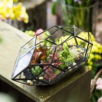 Pot de fleurs succulentes en verre, porte-plantes, pour fenêtre, balcon, Terrarium, jardinière géométrique irrégulière, Offre Spéciale