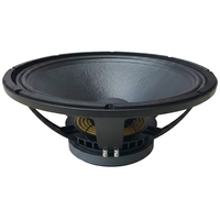 Profesyonel 15 İnç Mid Bas Hoparlör Sürücüsü 700W 8Ohm AES Yüksek Hassasiyetli Metal Woofer CCA Ses Bobini Line Array Sistemi için