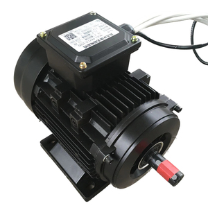 มอเตอร์ดีซีไร้แปรงถ่าน 48v 72v 2000w 3000W 4000W พร้อมคอนโทรลเลอร์ - Product Image 2