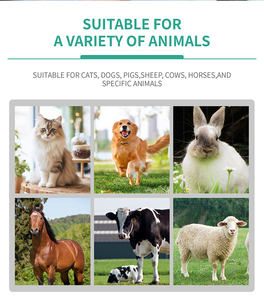 Produk terapi radang sendi anjing, alat terapi cahaya inframerah hewan infeksi telinga anjing obat rumah - Product Image 2
