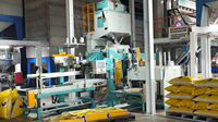 Machine d'ensachage d'engrais entièrement automatique Ewinall QZB-600M 25-50kg, conception de sécurité intégrée, pour sachets souples de qualité alimentaire pour l'urée