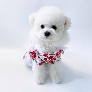 Summer Princess Dress For <b>Small</b> Dogs Rose Lace Breathable Pet Skirt Bichon <b>Teddy</b> Outfit - Product Image 2