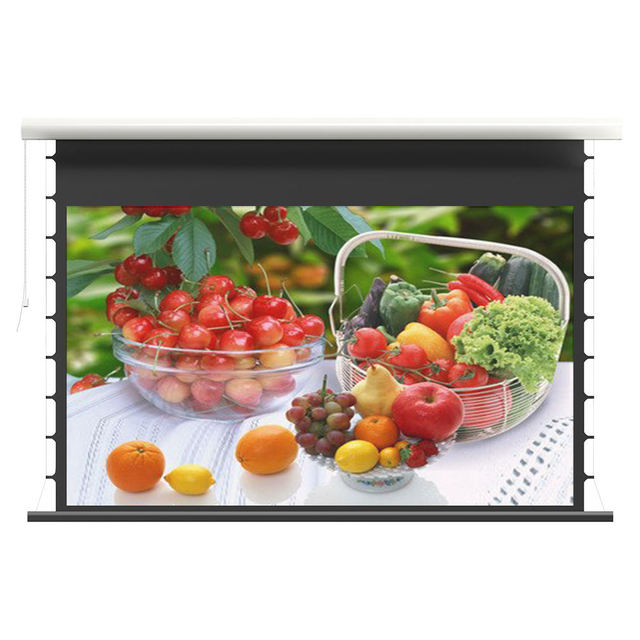 120inch Electric Outdoor Projector Screen With Chargeable With Battery Powerd Screen