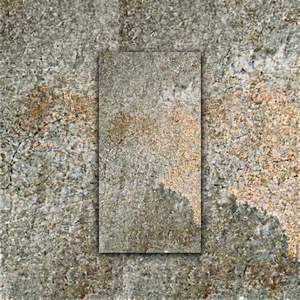 Los Mejores Azulejos de Porcelana Digitales para Pared Exterior con Diseño Rústico 450x900mm, Textura de Flores y Plantas, Antideslizantes, Compre a Granel de Fabricante Indio - Product Image 1