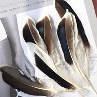 Masque en Plumes de Canard Naturelles Teintes de Haute Qualité, Douces, de 4 à 6 Pouces, avec Châle de Poignet et Ailes pour Spectacles de Danse et Fêtes de Carnaval