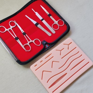 Kit <span class=keywords><strong>de</strong></span> pratique <span class=keywords><strong>de</strong></span> suture complet pour étudiants en médecine et chirurgie, matériau écologique, modèle d'organes humains, fournisseur chirurgical - Product Image 1