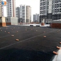 Planche de drainage en HDPE haute densité et haute résistance à la compression avec surface alvéolée pour le drainage extérieur et de jardin, les barrages et les réservoirs