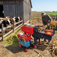Nouvelle Hacheuse de Fourrage et de Paille 8HP Diesel 5Tons/h pour Ensileuse, Broyeur de Maïs Humide et Sec, Haute Productivité pour la Production d'Aliments pour Animaux