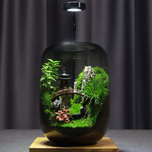 Modernes Bauernhaus Design Zen Garden <span class=keywords><strong>Terrarium</strong></span> Kit mit Lampen faser Material Boden Desktop Usage Home - Product Image 6