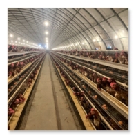 Type automatique galvanisé Offre Spéciale de 3 couches de cages de poulet pour des poules