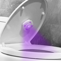 Portable Mini USB Rechargeable Ultraviolet (UVC) Lampe de stérilisation des toilettes Dispositif de désinfection domestique Brosse à dents Désinfection