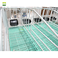 Corral de gestación de cerdo galvanizado por inmersión en caliente, jaula de gestación de cerdas, corrales de posicionamiento para granja de cerdos