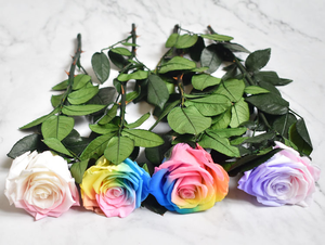 XINSHENG fleur eternel fleurs de mariage pour toujours roses préservées prémad pour toujours roses avec tige avec arôme - Product Image 4