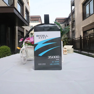 <span class=keywords><strong>6S</strong></span> 12S 14S 22000 23000 mAh 24000 40000mAh 25 16000mAh yarı katı hal çantası lityum iyon İha pil mAh 20S pil kılıfı - Product Image 5