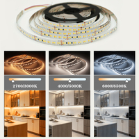 Tira de Luz LED Inteligente Regulable 2835 CCT, 120, 180, 192, 196, 240 LED, Control Remoto para Hogar, TV, Vitrinas de Centros Comerciales