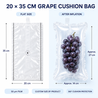 Sac d'emballage en plastique amortissant avec valve à air, pochette gonflable à remplissage rapide, livraison rapide, verrouillage d'air unidirectionnel