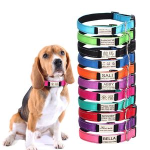 Collare per Cani Antiperditа in Nylon Riflettente con Targhetta Identificativa Incisa per Cani Piccoli/Medi/Grandi <span class=keywords><strong>Pitbull</strong></span> Carlino - Product Image 1