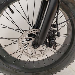 Offre Spéciale Chine Cargo vélo électrique 3 vitesses 48V batterie au lithium 500W 20 pouces route ville e-bike vélo électrique pour <span class=keywords><strong>femme</strong></span> homme - Product Image 6