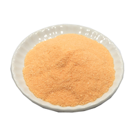 Poudre de fruits séchés, 50g, jus biologique, à base de mangue, thé, gelée concentré