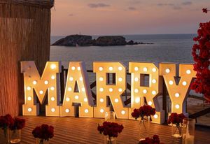Letras Luminosas de Acero Inoxidable '¿Te Casarías Conmigo?', Letrero de Neón para Bodas, Bares y Fiestas - Product Image 2