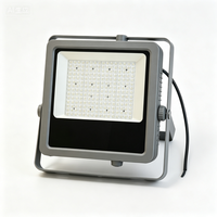 Projecteur LED professionnel de haute qualité pour extérieur et intérieur, étanche, avec corps en aluminium, indice de protection IP66, pour stades sportifs