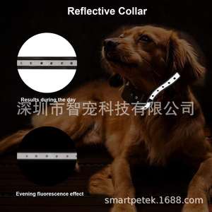 P10 พลัสปลอกคอฝึกสุนัขอัจฉริยะกันน้ำแบบชาร์จได้พร้อมรีโมทคอนโทรลสำหรับสุนัขสัตว์เลี้ยง - Product Image 5