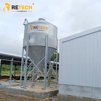 Système de cages en batterie galvanisées de type H automatique pour l'élevage de poulets, 25000 poulets, avec collecte des œufs et abreuvement