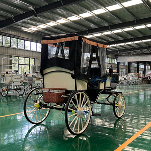 Nueva luz a juego de colores <span class=keywords><strong>en</strong></span> blanco y negro, turismo de lujo, carruaje tirado por caballos, carruaje Royal Sightseeing Victoria con dosel - Product Image 4