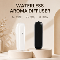 Diffuseur de parfum sans eau, électrique, nébulisant, portable, pour chambre d'hôtel de luxe, capacité de 100 ml, contrôlé par application