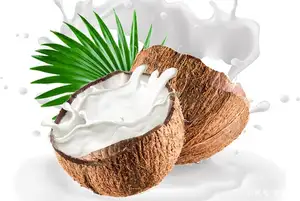 ココナッツミルクパウダー70% mct有機純天然油粉末