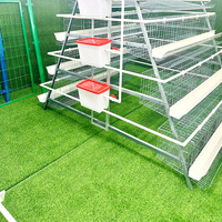 Cages d'élevage pour poules pondeuses, équipement d'élevage avicole