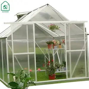 Greenhouse Small Mini Low Cost Frame Polycarbonate Board Garden Greenhouse For Plant Growth