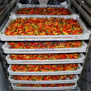 Ligne de nettoyage, découpe et séchage de piments certifiée qualité, Four de séchage à pompe à chaleur pour piments, Séchoir à piments - Product Image 2