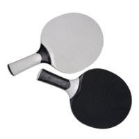 Raquette de tennis de table extérieure en ABS personnalisé nouveau matériau pagaie de ping-pong avec humidité, pluie et protection solaire