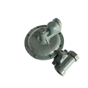 Valvola di Regolazione del Flusso per Bruciatore Pneumatico Industriale, Valvola di Riduzione a Due Stadi per Gas GPL a Media Pressione - Product Image 1