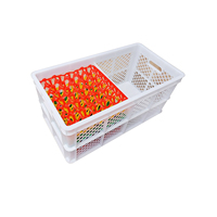 Caisse à œufs pliable en plastique maillé OEM, empilable, pour solutions de stockage et logistique de transport d'œufs à usage commercial