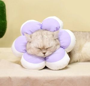 Collar de gato Elizabeth, anillo antimordida para lamer, Collar de cono en forma de flor de gato, anillo de <span class=keywords><strong>vergüenza</strong></span> de esterilización suave impermeable - Product Image 5